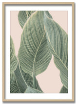 Calla Leaf Framed Print Wall Art by Kathrin Pienaar, 16"x24", Framed