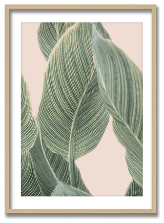Calla Leaf Framed Print Wall Art by Kathrin Pienaar, 16"x24", Framed