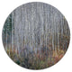 Maroon Bells Mountain View, Modern Forest Disc Metal Artwork, 11"