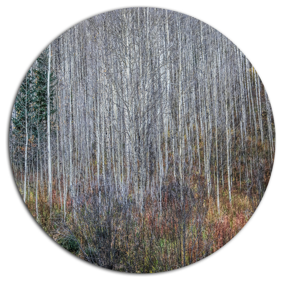 Maroon Bells Mountain View, Modern Forest Disc Metal Artwork, 11"