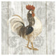 "Farm Friend I on Barn Board" Digital Paper Print by Albena Hristova, 26"x26"