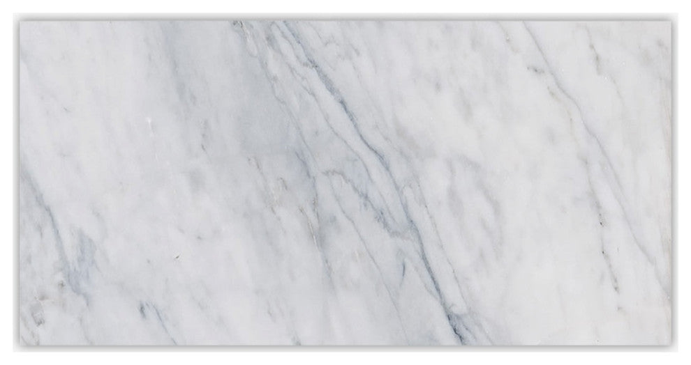 Carrara Classic Honed 2 3/4x5 1/2 Marble Tile