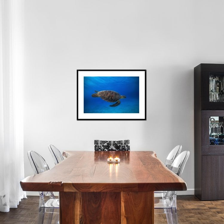 "Green Turtle In The Blue" Framed Digital Print by Barathieu Gabriel, 38"x28"
