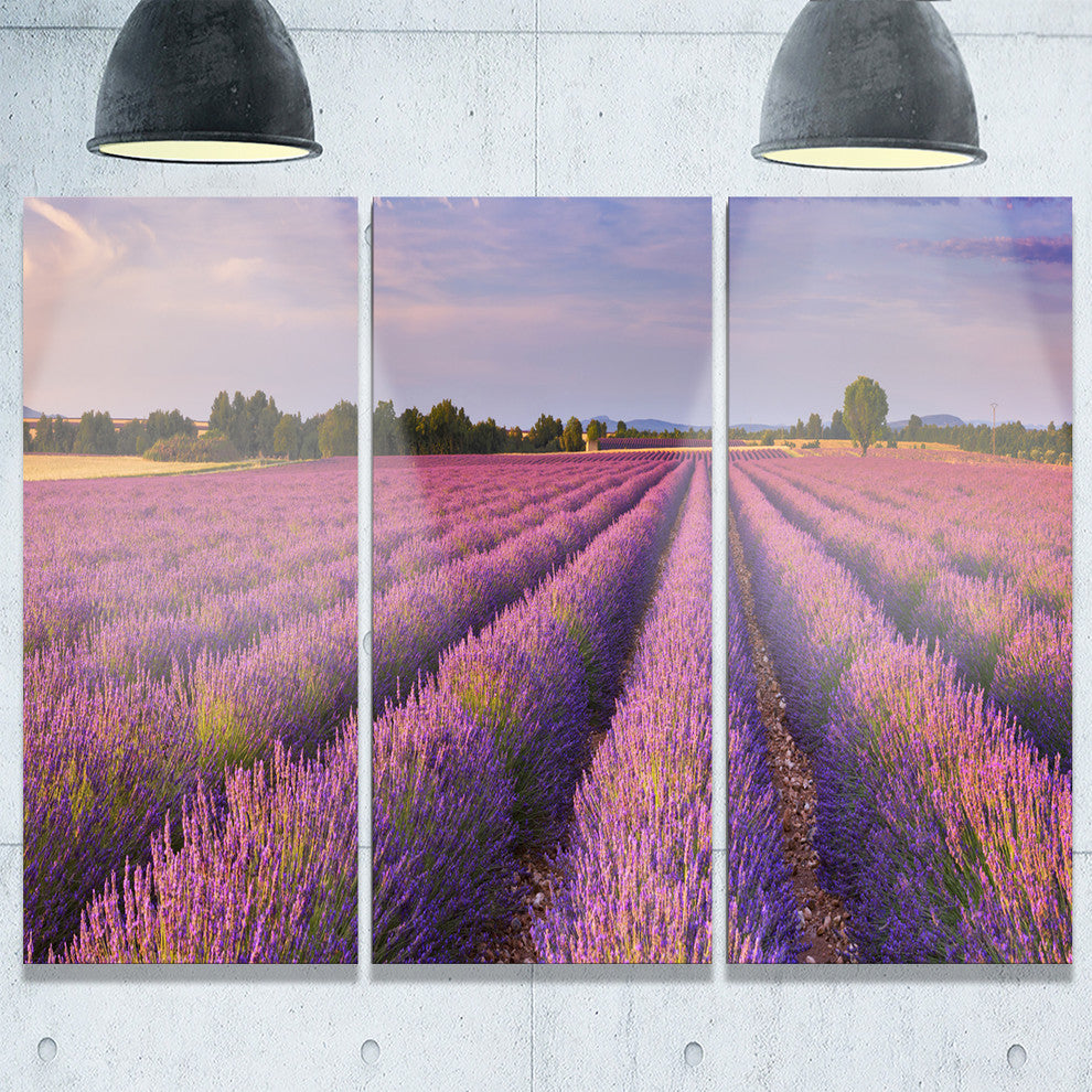 "Lavender Flower Rows in France" Metal Wall Art, 3 Panels, 36"x28"