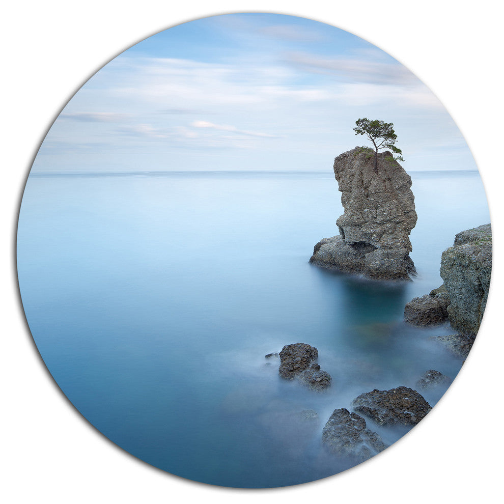 Pine Tree Rock At Portofino Park, Beach Disc Metal Artwork, 11"