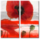 Painted Petals XXXII Canvas Wall Art 2-Piece Set, 24"x12"
