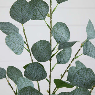 Leaf close-up on white background