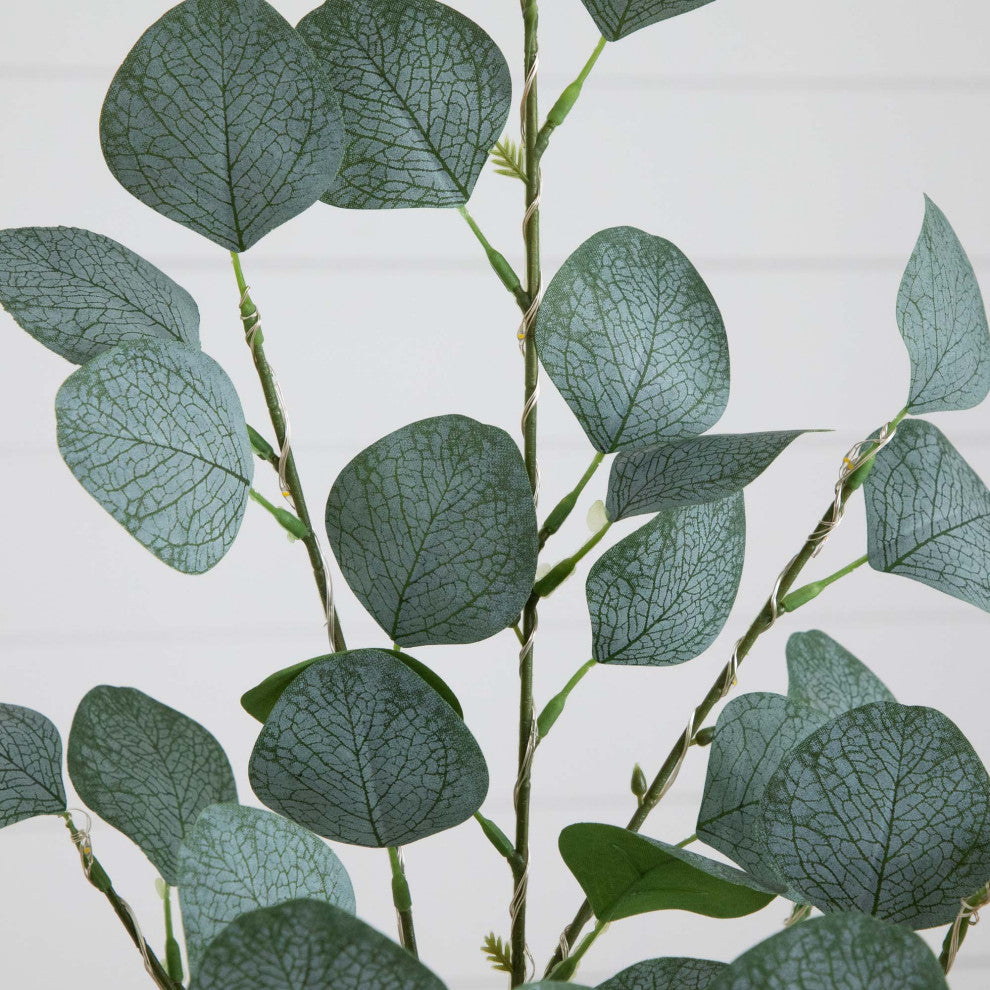 Leaf close-up on white background