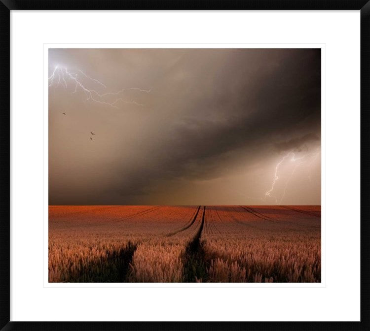 "In The Vastness Of Strohgaeu" Framed Digital Print by Franz Schumacher, 30x26"