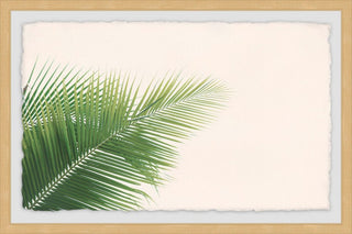 "Palm Angles" Framed Painting Print, 18"x12"