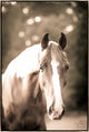 30x45 Cuvee, Framed Artwork, Silver