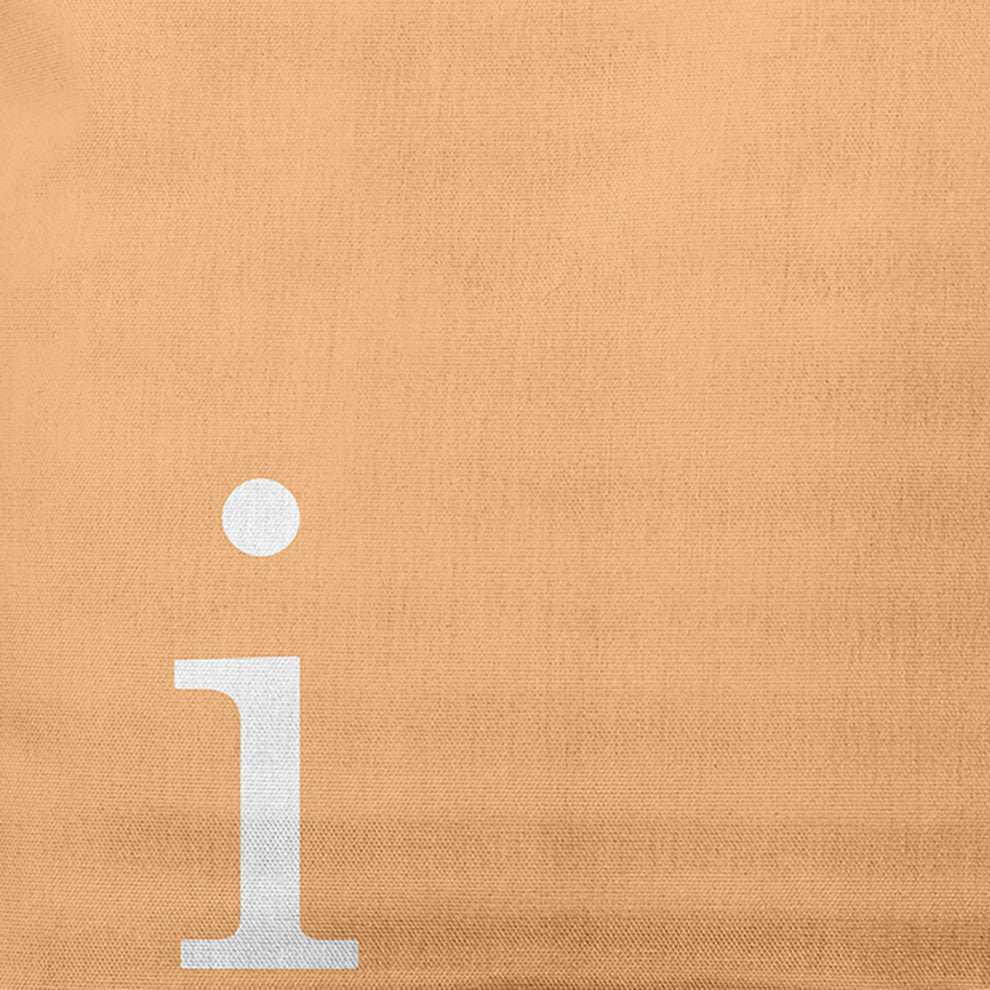 20"x20" Modern Monogram Decorative Throw Pillow, Pale Gold