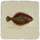 Flounder Coaster - 3 Sets of 4 (12 Total)