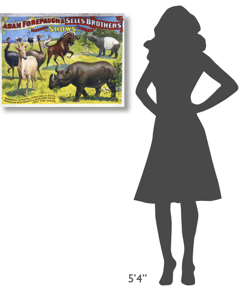American Wild Beasts And Birds, 30x23