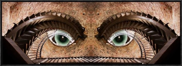 "Watching You" Framed Canvas Giclee by Paco Palazon, 37x13"