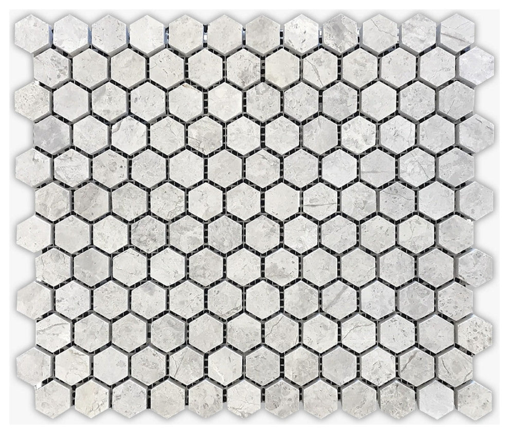Silver Gray Dark Honed 1" Hexagon Marble Mosaic