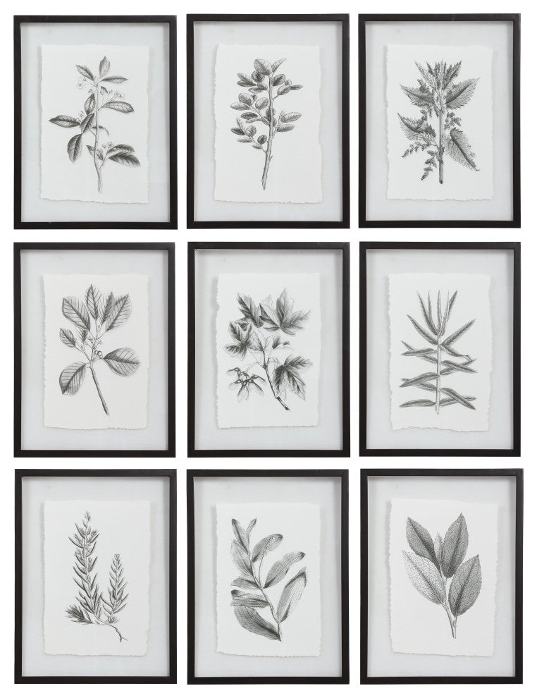 Uttermost Farmhouse Florals Framed Prints, 9-Piece Set