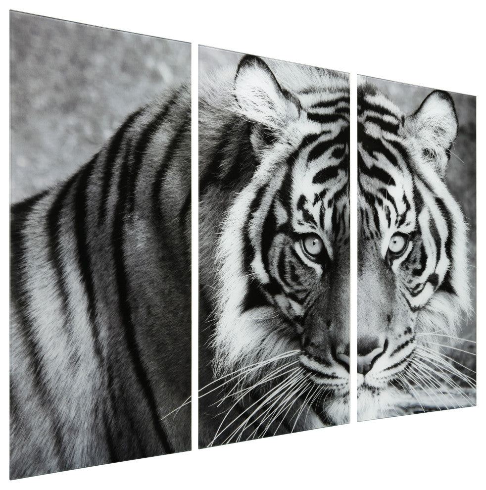 "Tiger ABC" Frameless Free Floating Tempered Glass Panel Graphic Wall Art Set