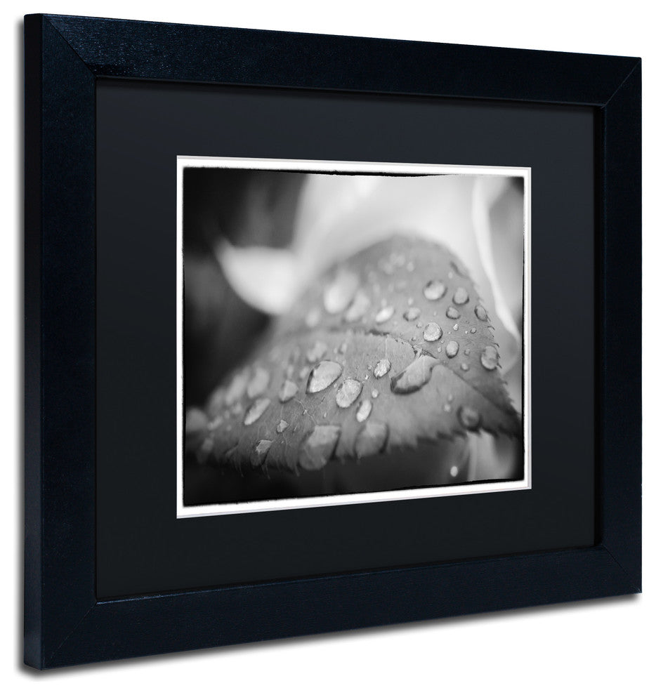PIPA Fine Art 'Dew on Leaf of Rose Plant' Matted Framed Art, 14x11