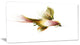 Nice Flight of Lovely Green Bird, Animal Canvas Art Print, 32"x16"