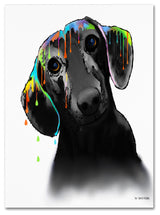 'Dachshund' Canvas Art by Marlene Watson