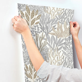 Coral Leaves Taupe and Black Wallpaper