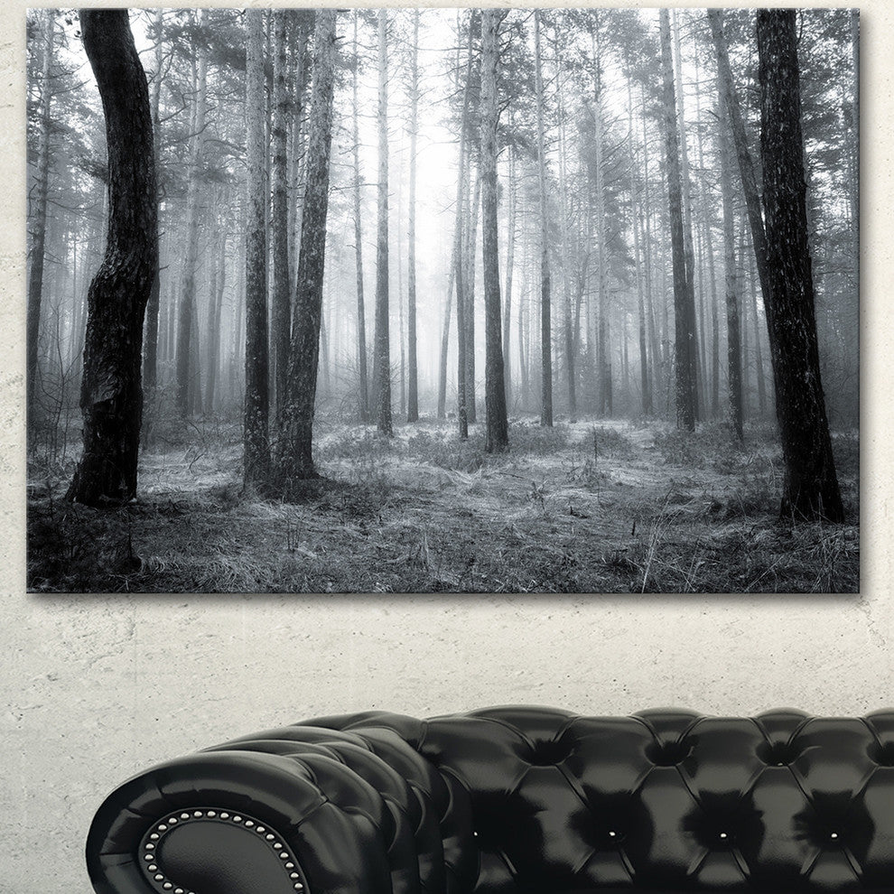 Black and White Foggy Forest, Forest Canvas Art Print, 60"x28"