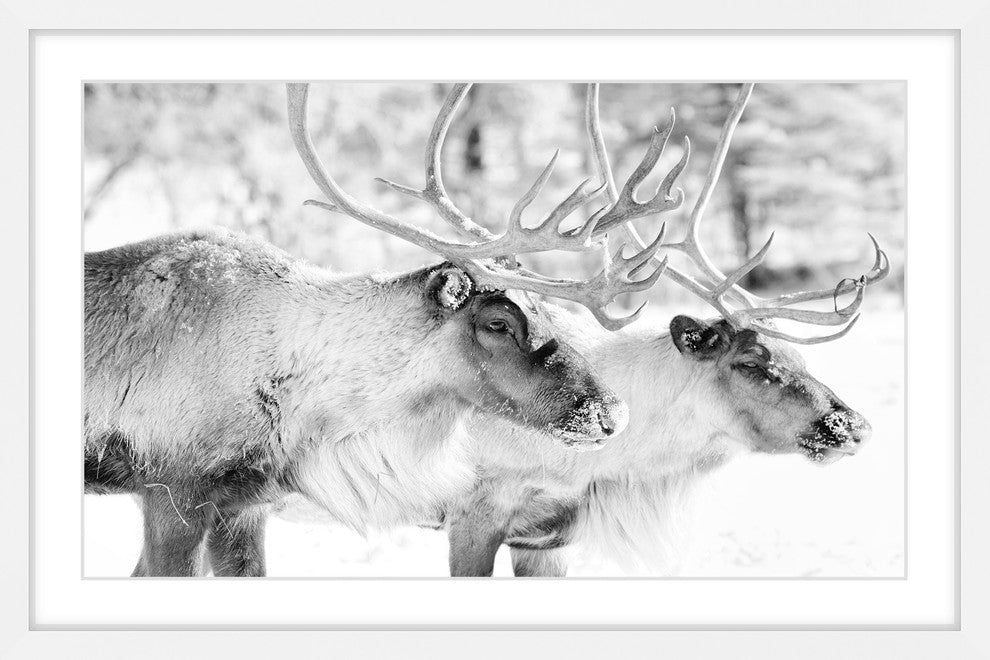 Marmont Hill, "Elk Pair" Framed Painting Print, 18x12