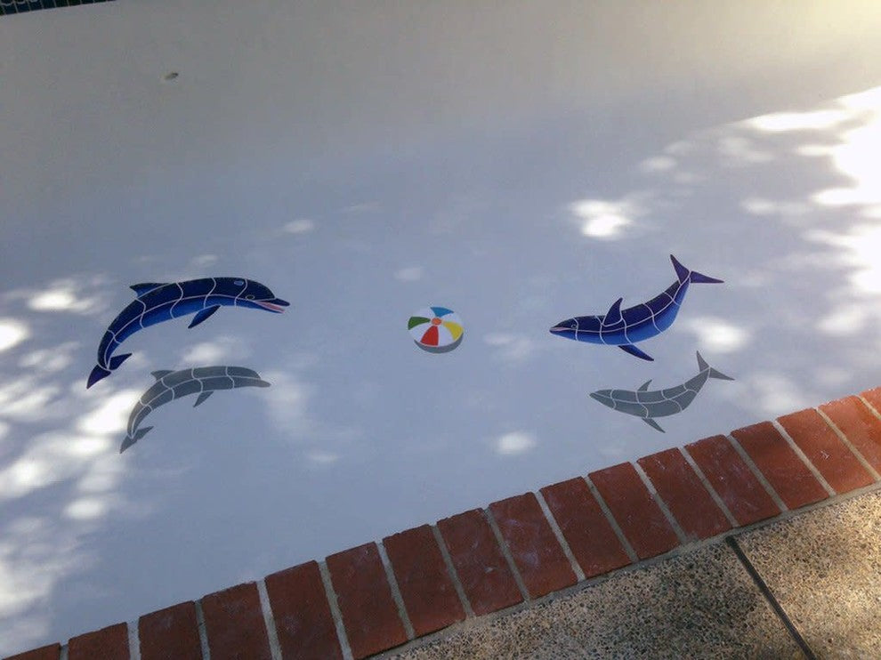 Bottlenose Dolphin-A | PORC-BD1-36 | Pool Mosaic – AquaBlu Mosaics