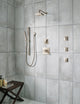 Delta Ara TempAssure 17T Series H2Okinetic Shower Trim, Stainless, T17T267-SS