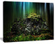 Dark Forest on Snowy Morning, Landscape Canvas Art Print, 40"x30"