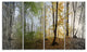 "Morning Forest Panoramic View" Canvas Print, 4 Panels