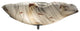 25 Wide Metro Fusion Ramoscelli Flushmount