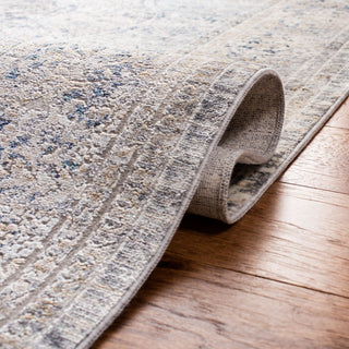 Safavieh Dream Collection DRM492 Area Rug, Blue/Grey, 9'x12'