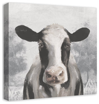 Sophisticated Cow 20 x 20 Canvas Wall Art