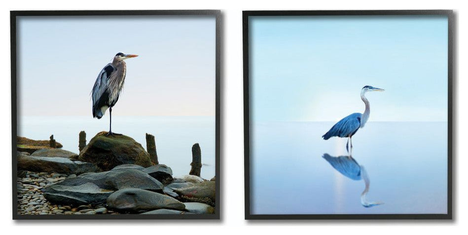 BHeron Ocean Animal Photograph 2-Piece Set, 12"x12"