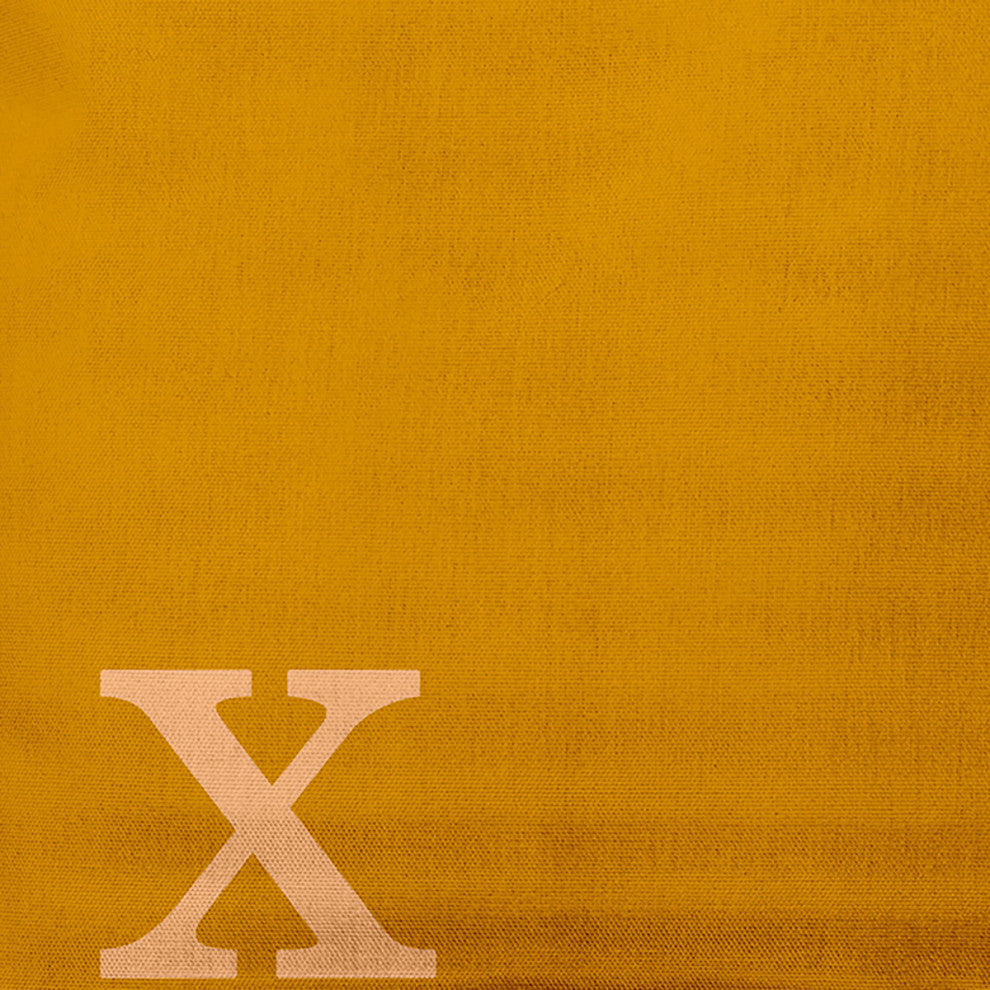 20"x20" Modern Monogram Decorative Throw Pillow, Autumn Gold