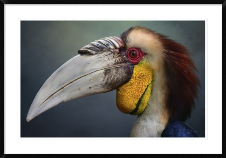 "Jabrix" Framed Digital Print by Fahmi Bhs, 44x30"