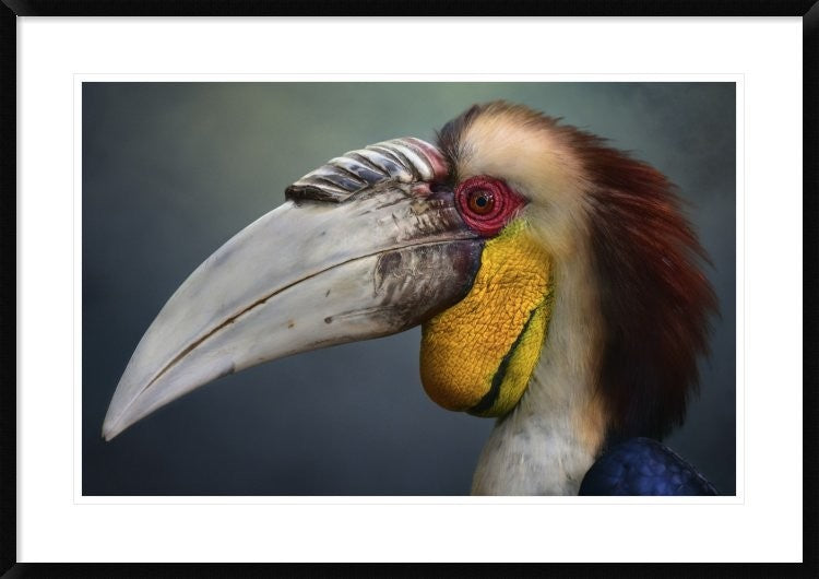 "Jabrix" Framed Digital Print by Fahmi Bhs, 38"x26"