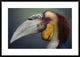 "Jabrix" Framed Digital Print by Fahmi Bhs, 38"x26"