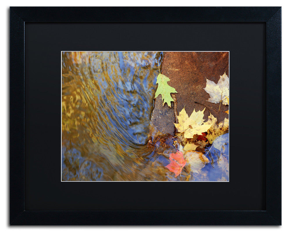 Jason Shaffer 'Arb' Matted Framed Art, Black Frame, Black Mat, 20x16