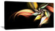"Light Orange Pink Glossy Flower" Floral Wall Art Canvas, 40"x20"