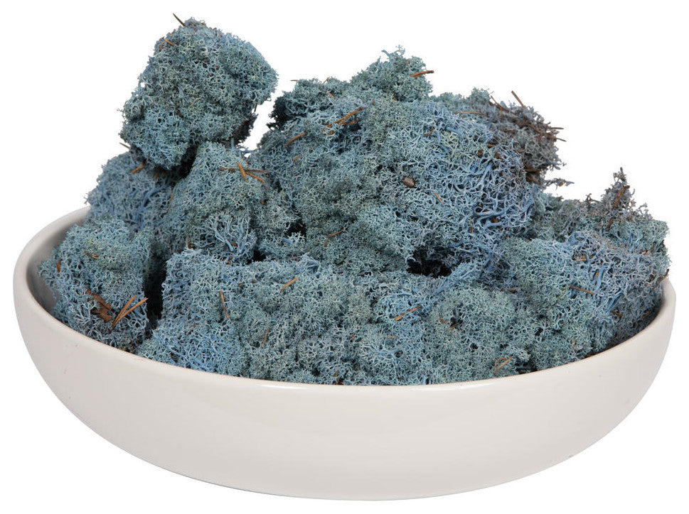Vickerman Natural Botanicals Reindeer Moss, Light Blue, 2 Lb.