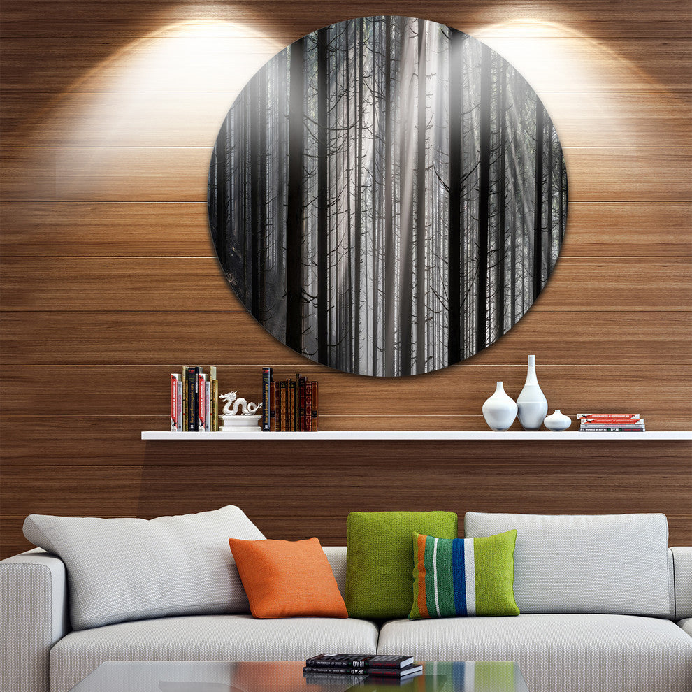 Sunbeams Peeking Through Dark Forest, Forest Disc Metal Wall Art, 23"