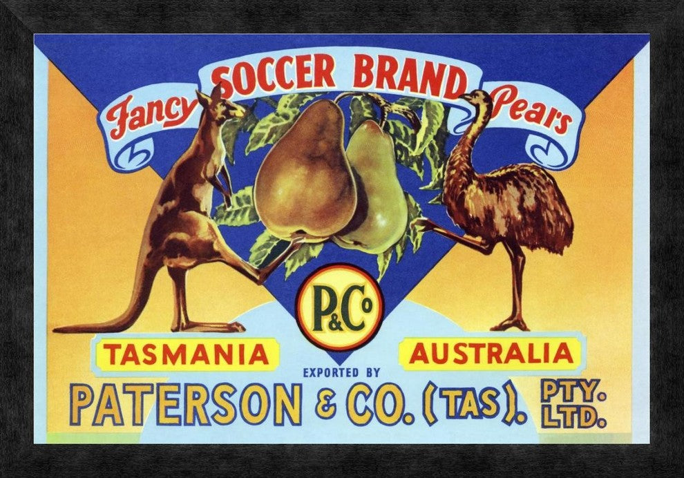 "Fancy Soccer Brand Pears" Framed Canvas Giclee, 24"x17"