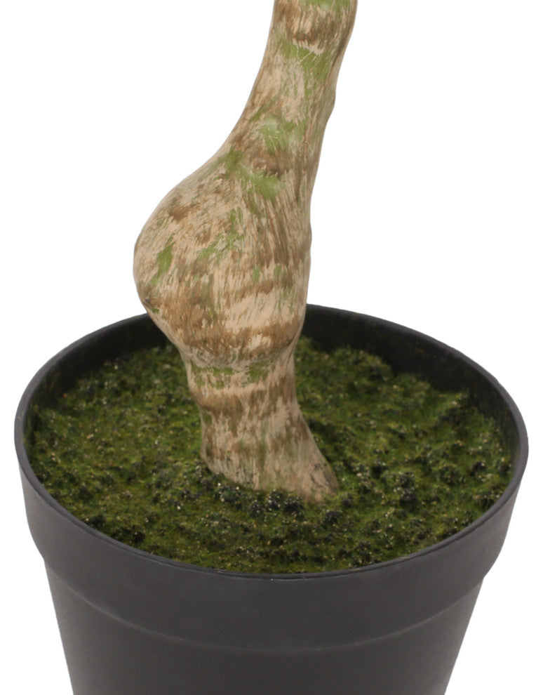 Coles Artificial Money Tree, Green, 23.6wx19.7dx47.2h