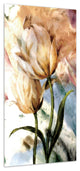 "Pastel Fleur I&II" Frameless Reverse Printed Tempered Glass Wall Art Set of 2