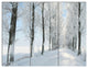 Beautiful Winter Forest Lane Photo, Forest Canvas Art Print, 36x28, 3 Panels