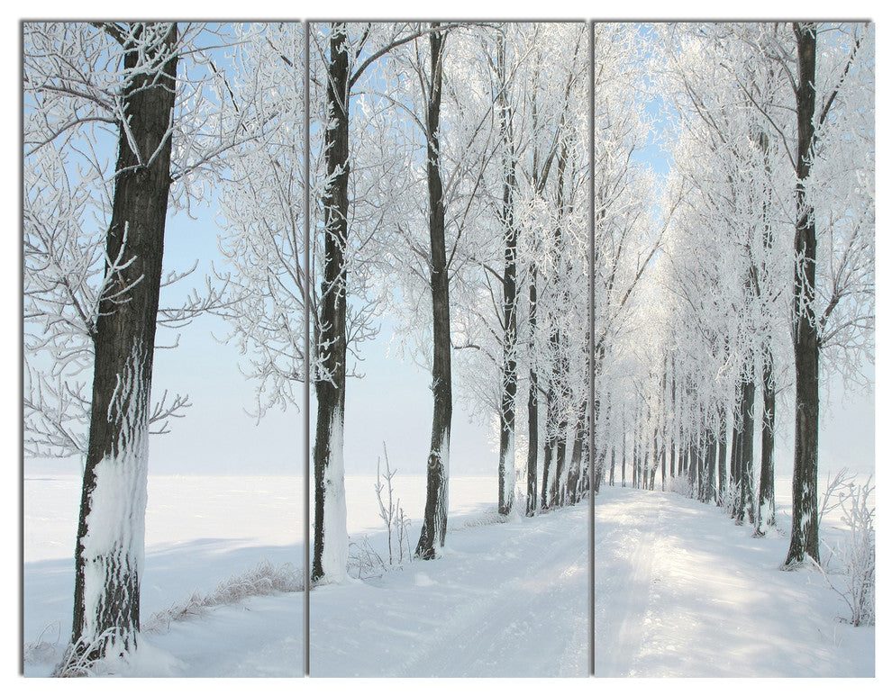 Beautiful Winter Forest Lane Photo, Forest Canvas Art Print, 36x28, 3 Panels