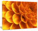 Yellow Abstract Floral Design, Floral Canvas Art Print, 20"x12"